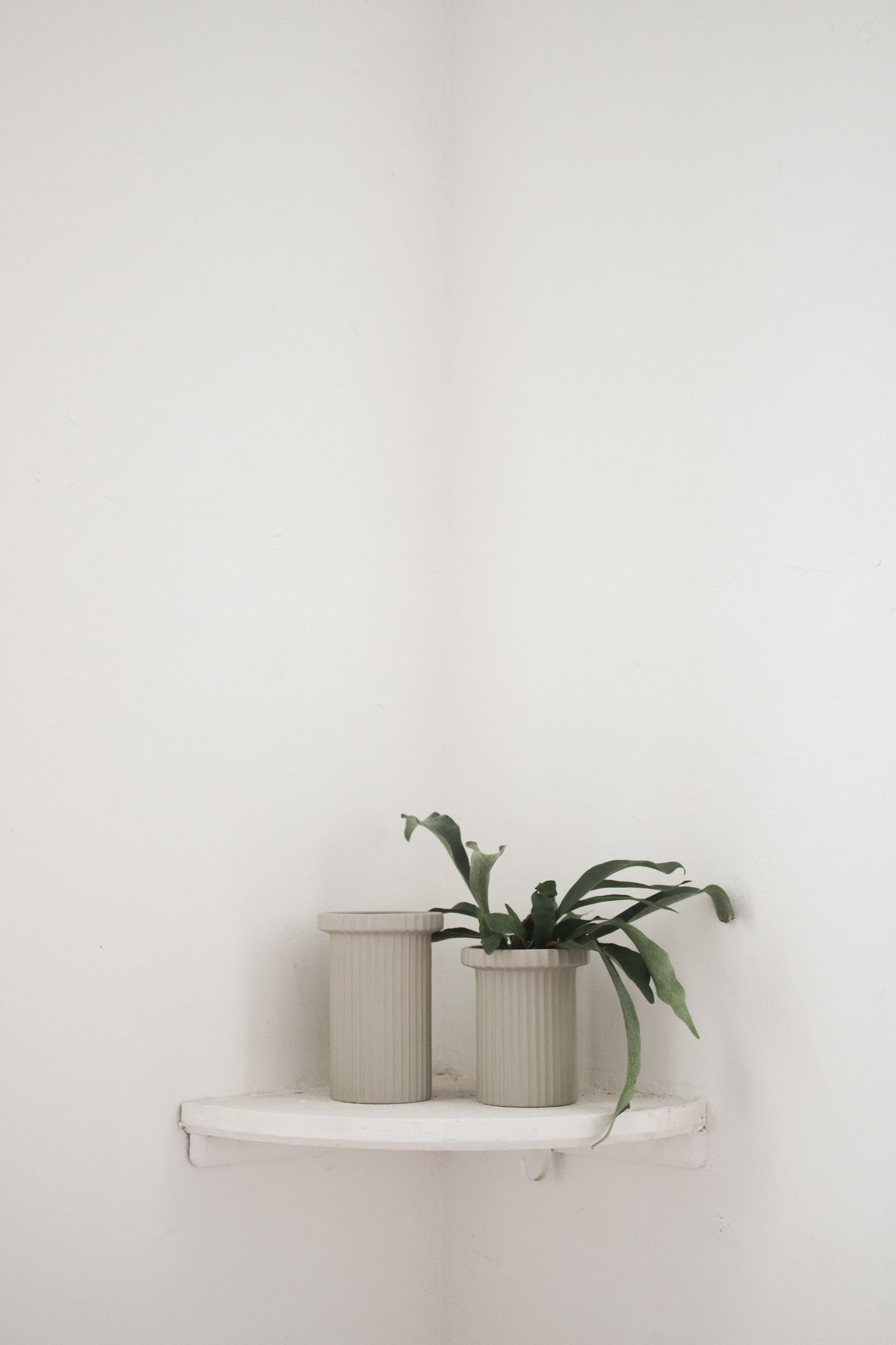 Vase Stripe