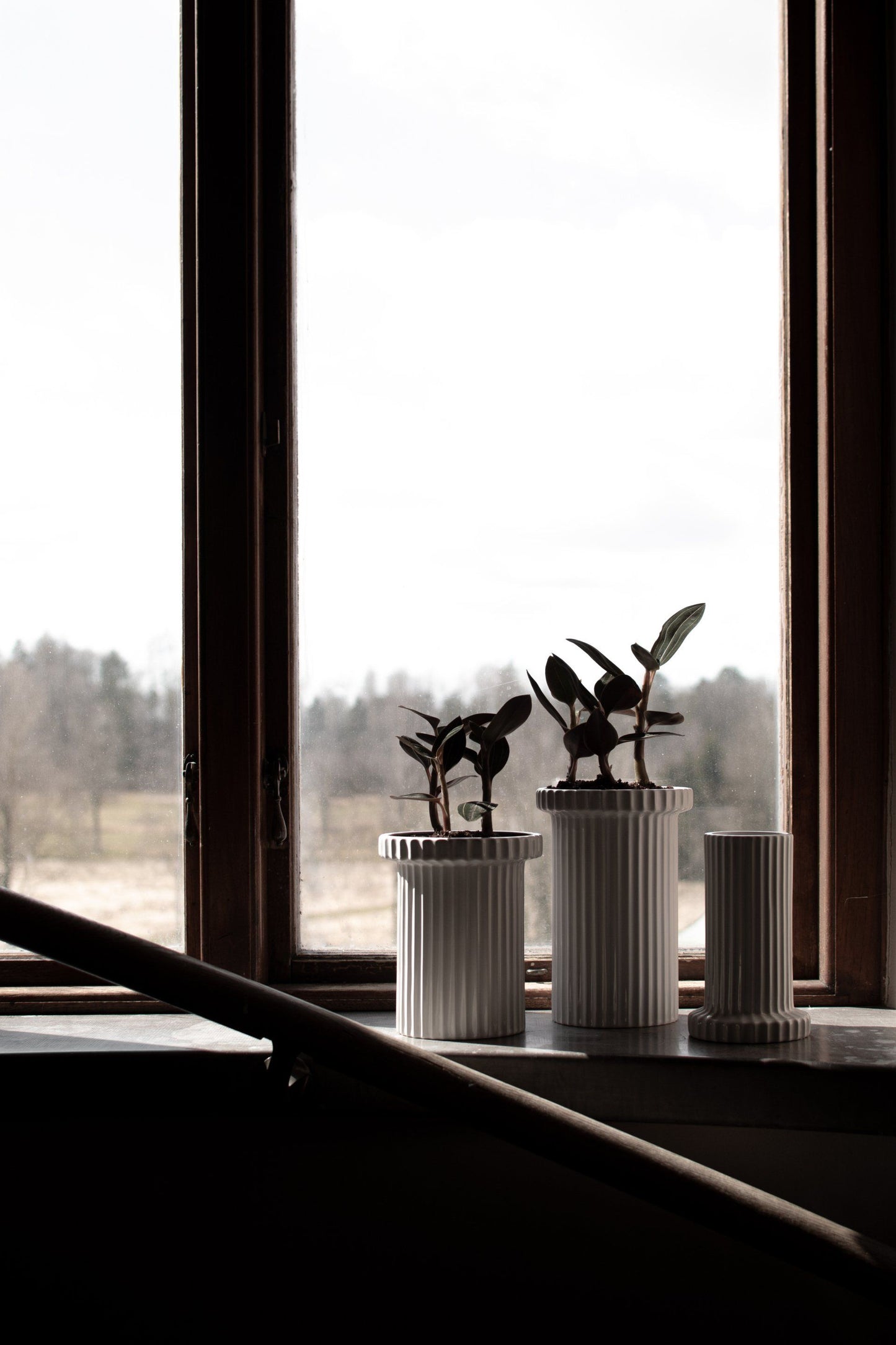 Vase Stripe